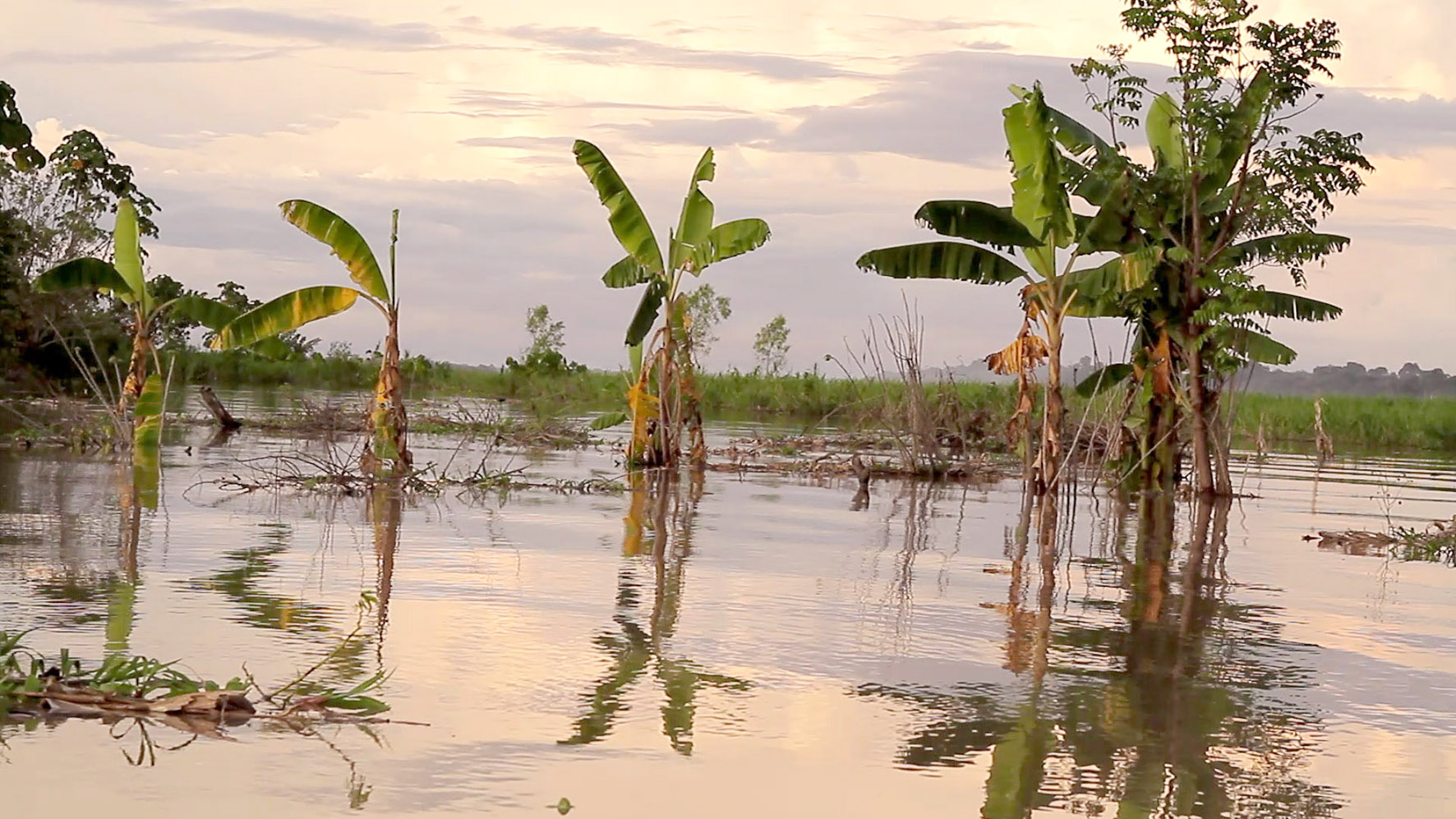 Aequador_still