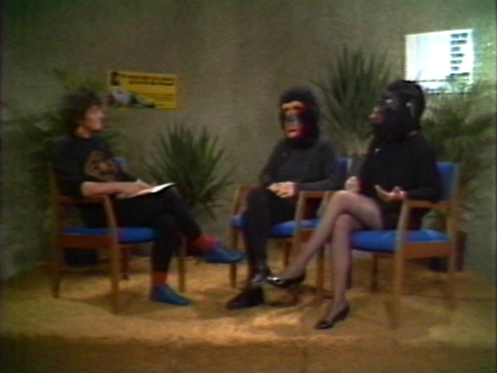 Guerrilla Girls: What Follows...