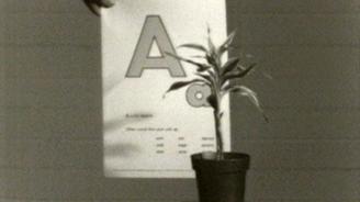 Teaching a Plant the Alphabet