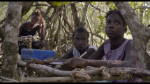 Mangrove School, Sónia Vaz Borges & Filipa César