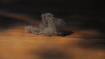 Dust Studies